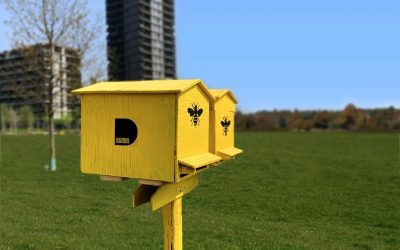 Un milione di api arriva a Milano per impollinare i fiori della città