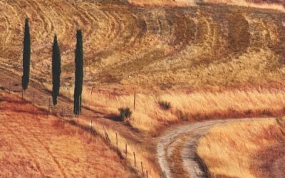 La ricchezza della terra da preservare; nasce il Manifesto per la salvaguardia delle antiche sementi della tradizione italiana