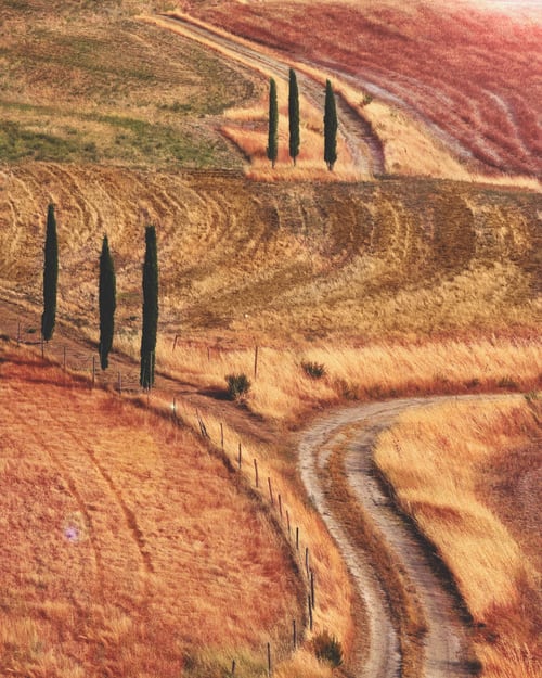 sementi_italiane sementi_italiane