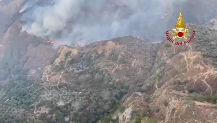 Incendi Calabria Faggete