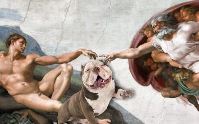 Al museo con il servizio di dog sitter