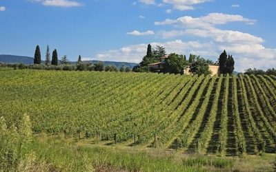 La biodiversità botanica italiana; da grandi risorse derivano grandi responsabilità