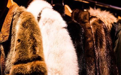 L’Italia si avvia alla chiusura della produzione di pellicce