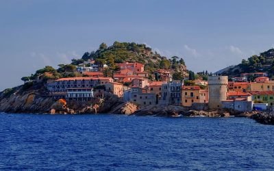 All’Isola del Giglio oltre le attese il ripristino dei fondali marini