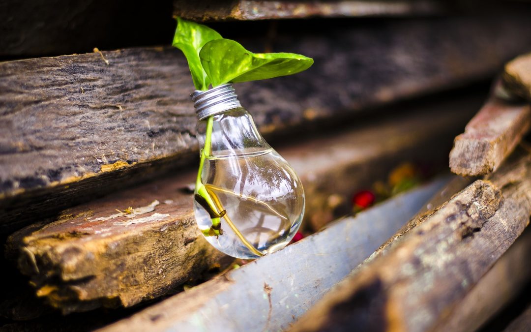 Dall’Università di Brescia il brevetto per ricavare materie prime dagli scarti