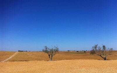 Siccità e desertificazione: il 28% del territorio italiano è a rischio 