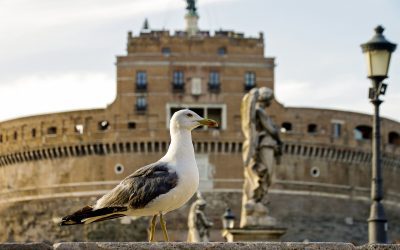 Storie di migrazioni, dall’Italia al mondo