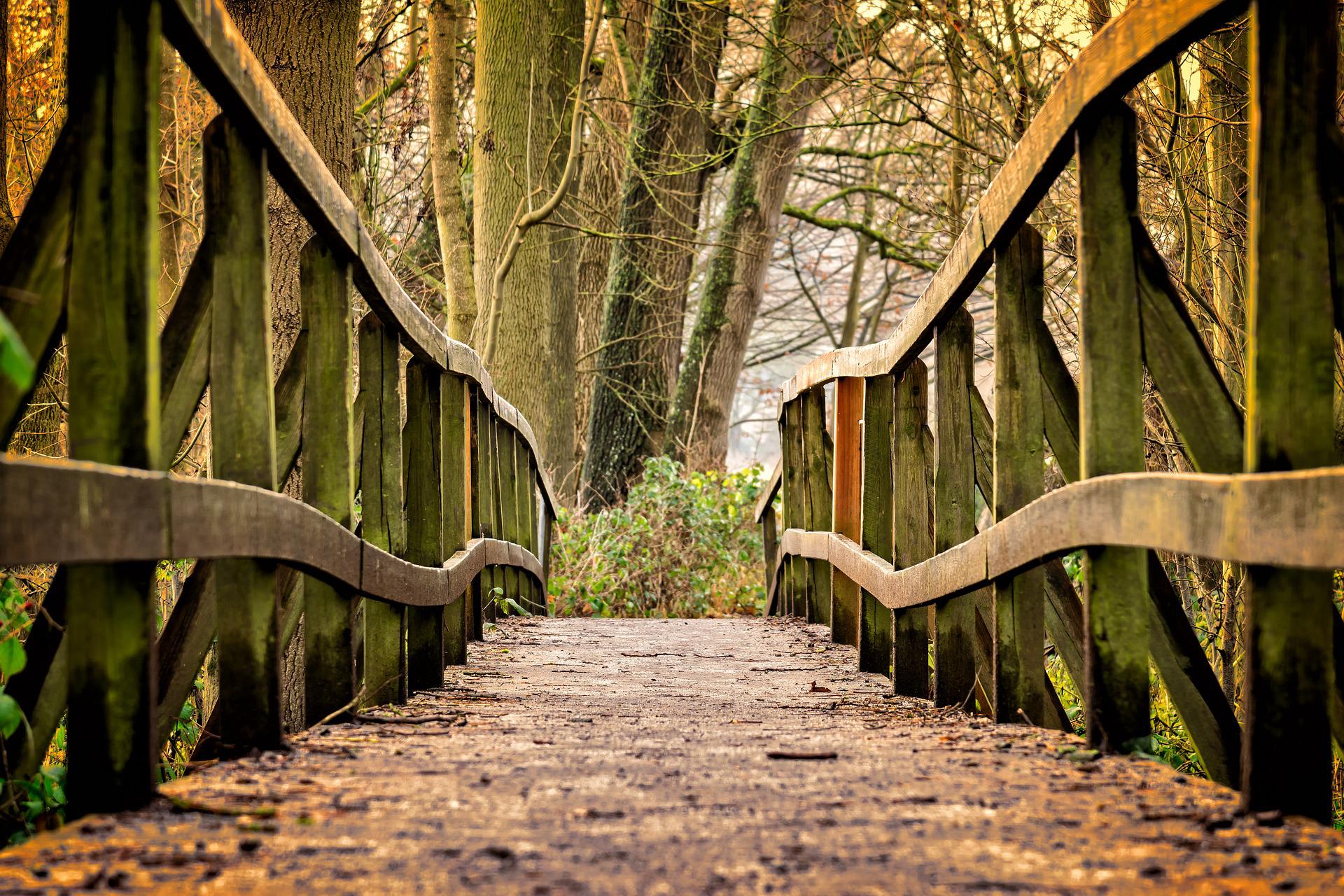 bridge-g6ec132c41_1920