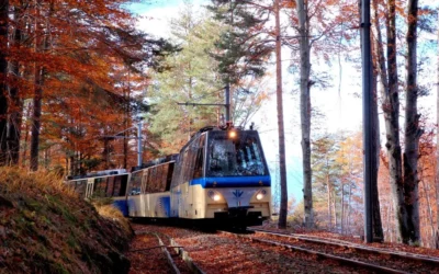 Treno del Foliage, un viaggio tra i colori dell’autunno
