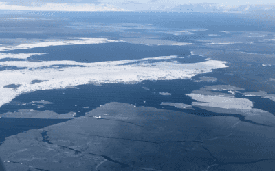 L’Oceano Artico potrebbe essere privo di ghiaccio in estate già dal 2050