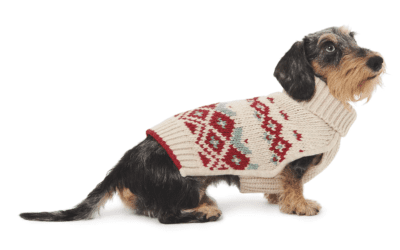 Debutta Pitti Pets, gli animali da compagnia vestono il lusso