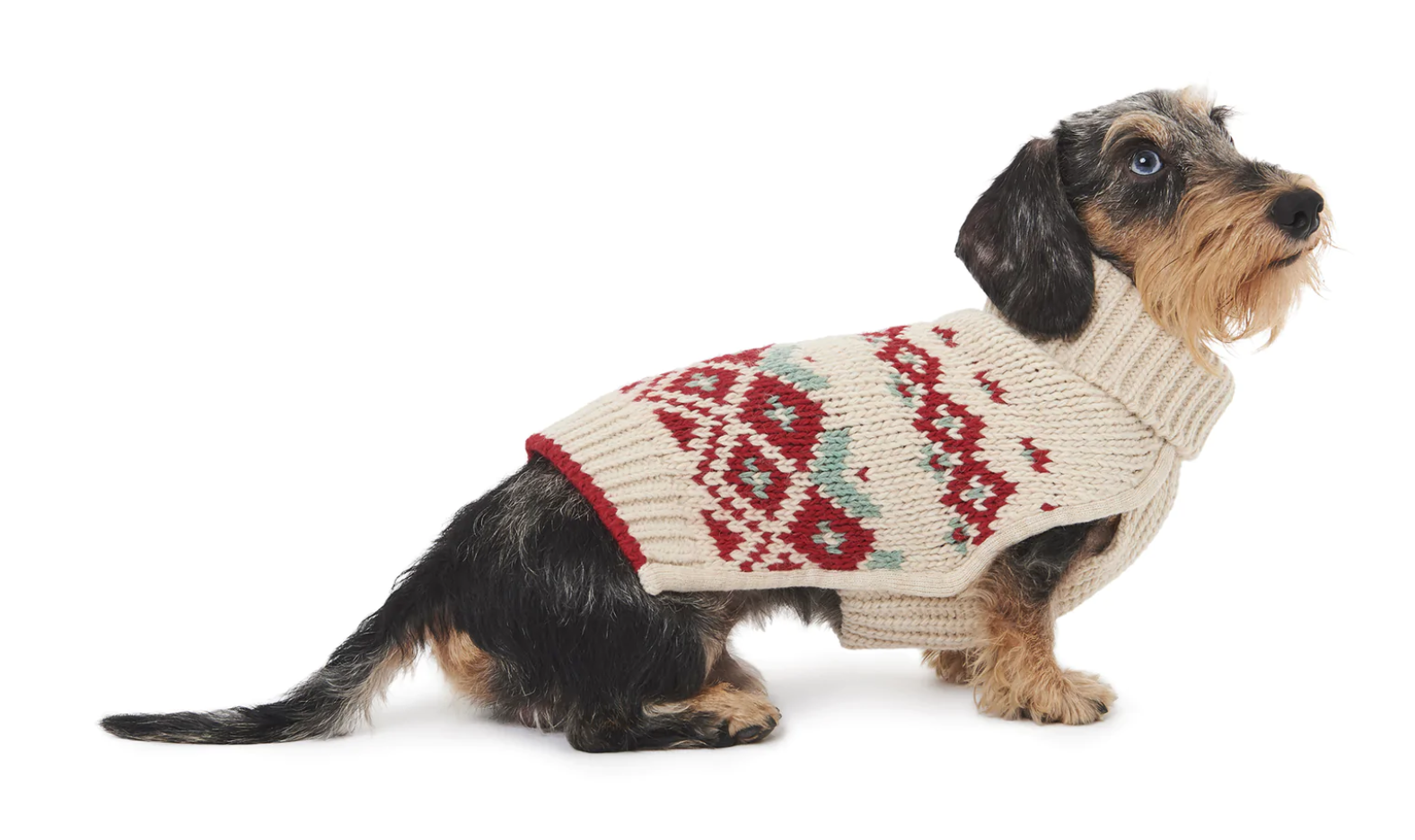 Un modello Poldo Dog Couture Un modello Poldo Dog Couture