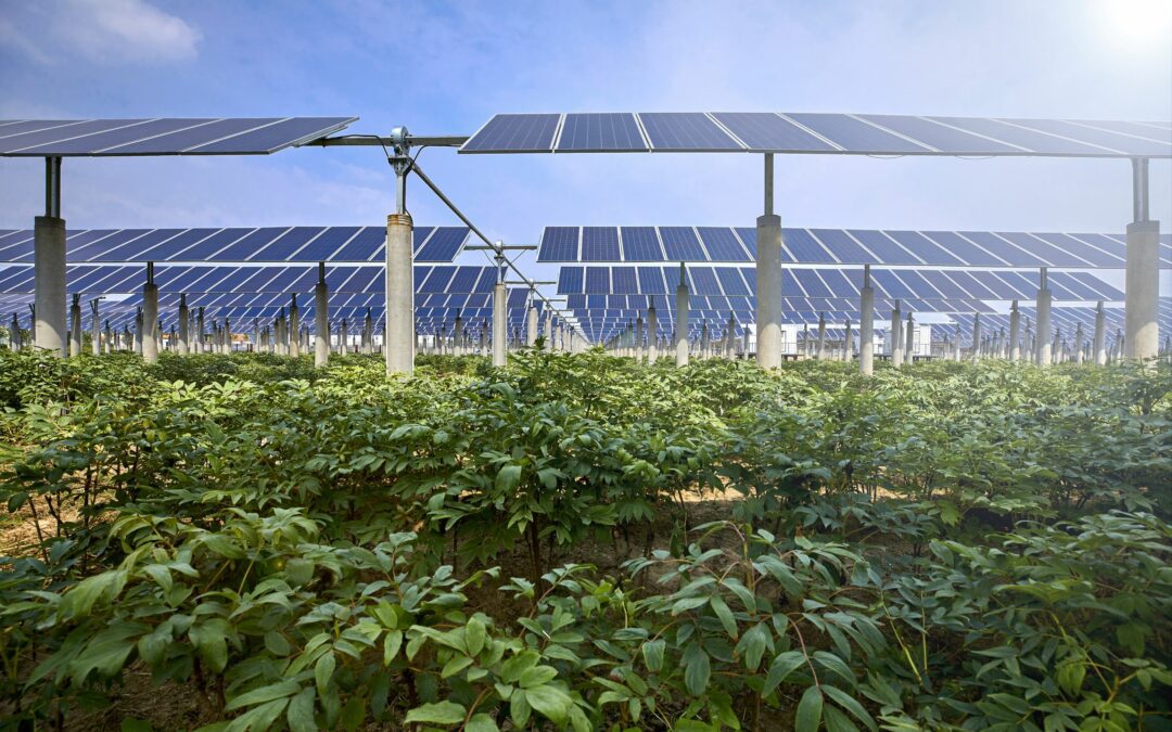 Agricoltura 4.0, nel 2023 arriva la svolta