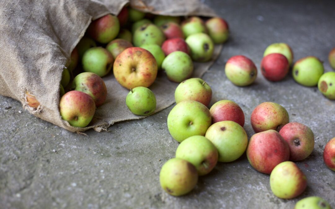 Gli Italiani imparano a non sprecare il cibo