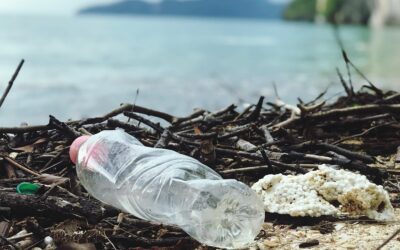 Ecomafia in Italia: i numeri nel rapporto di Legambiente