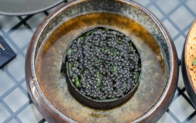 55 tonnellate di caviale italiano  per i gourmet di tutto il mondo