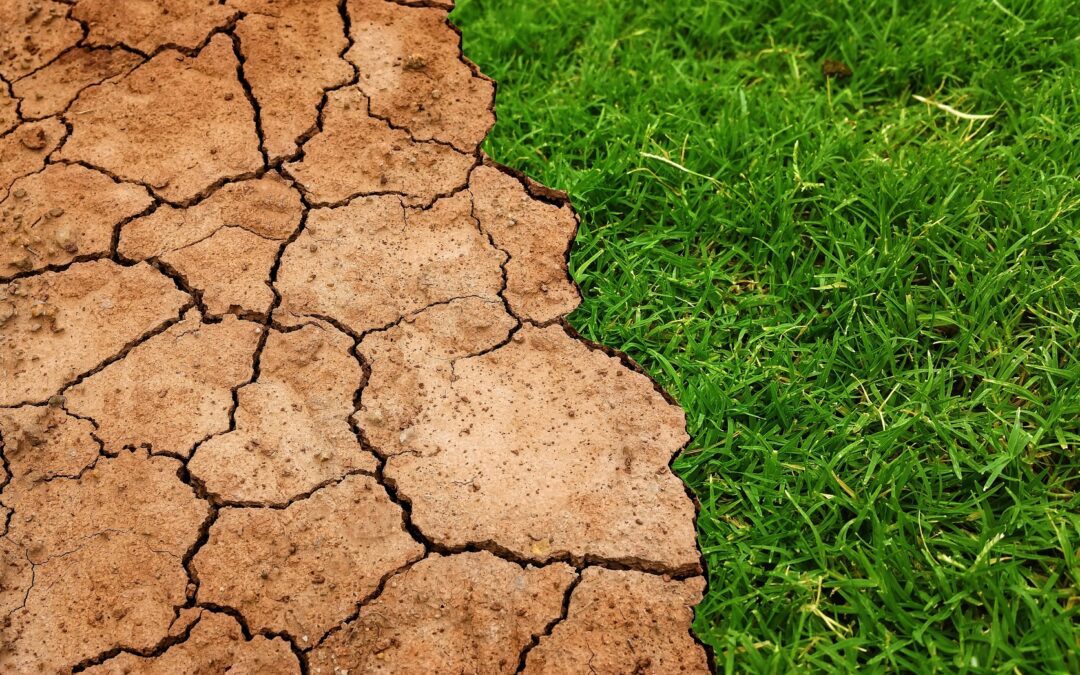 I raggi cosmici misurano l’acqua grazie a una startup di Padova