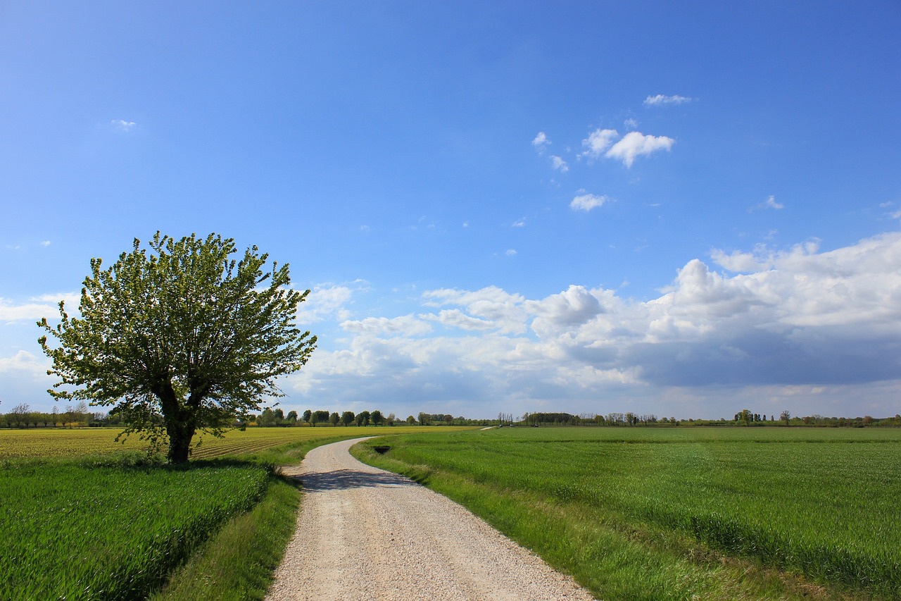 In Emilia Romagna molte zone agricole soffriranno per anni
