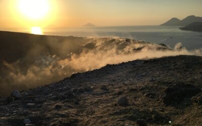 Un batterio amico che ripulisce l’aria assorbendo CO2