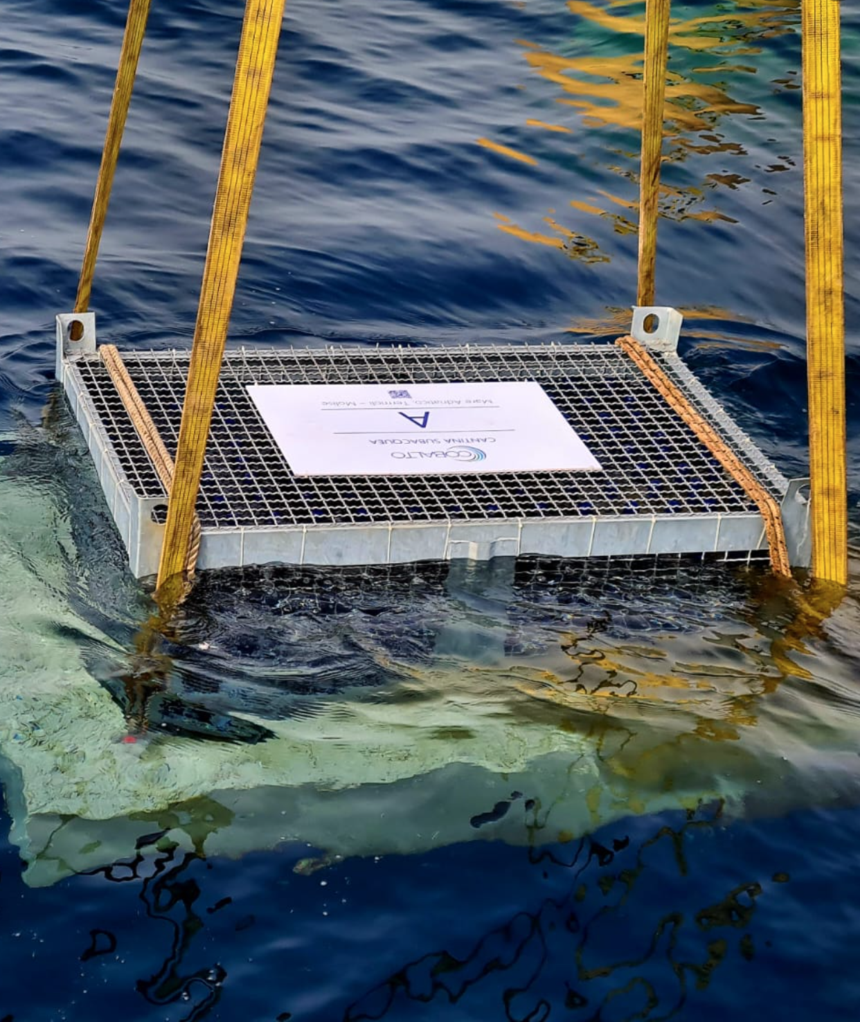 Un carico di bottiglie della cantina subacquea Cobalto – foto da Facebook Un carico di bottiglie della cantina subacquea Cobalto - foto da Facebook