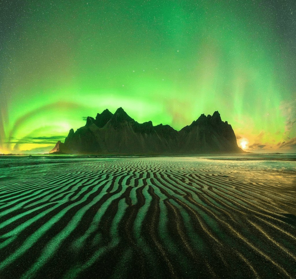 Emerald Roots ph. Lorenzo Ranieri Tenti - courtesy of the artist