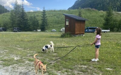 In vacanza con Fido: l’Italia è sempre più pet-friendly