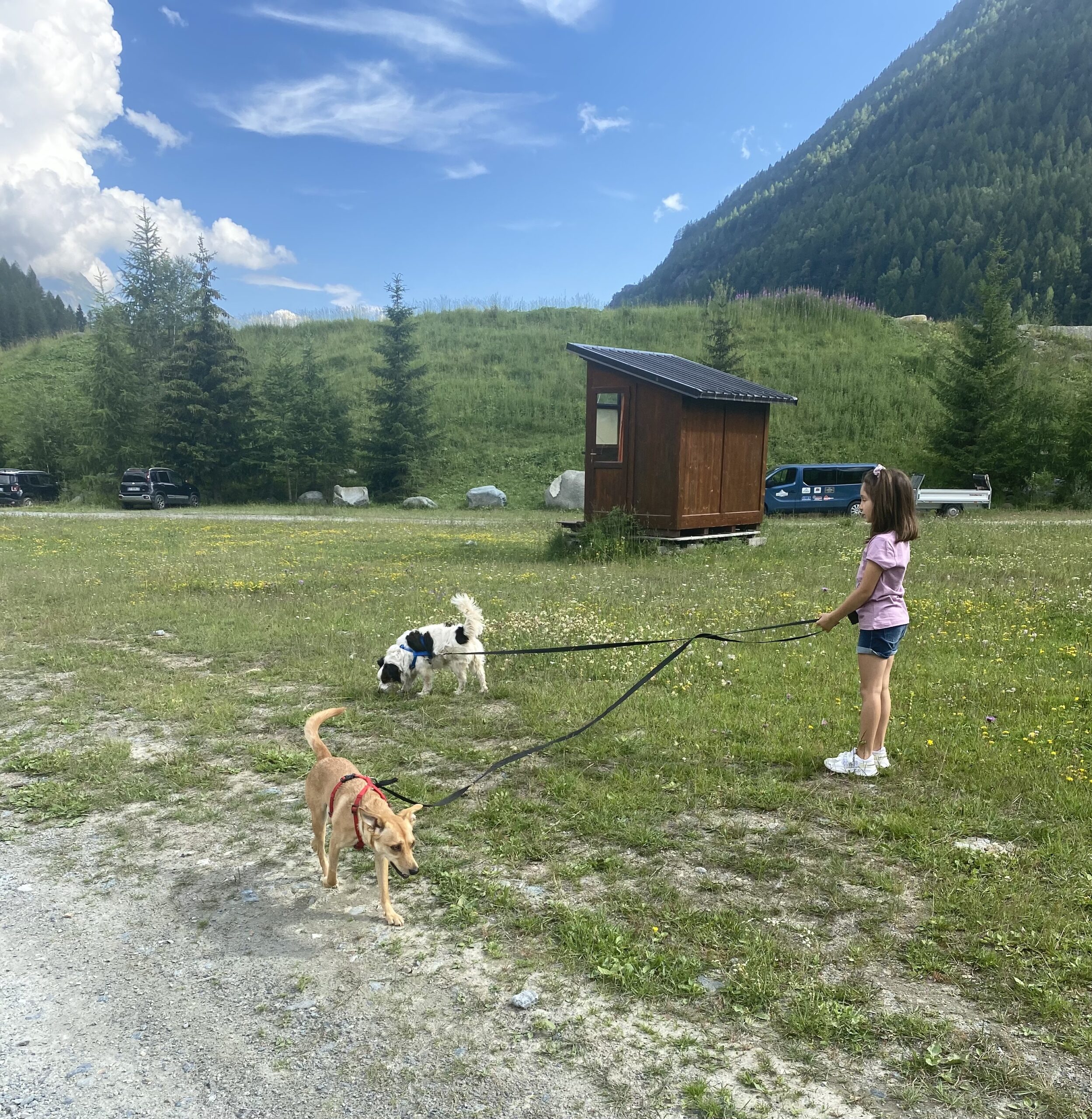 Telepress_Pet_Friendly1