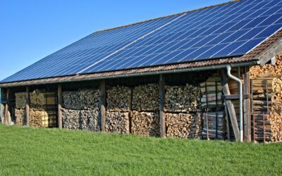 Agrivoltaico in Italia, un potenziale da sfruttare