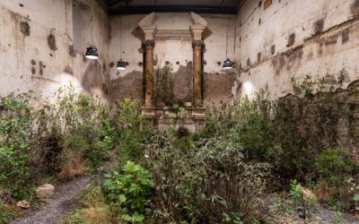 Arte: la natura irrompe in una chiesa sconsacrata di Roma