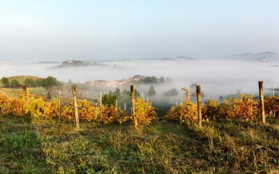 Italics sceglie il Monferrato per Panorama 2024