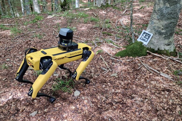 spot_ cane_robot