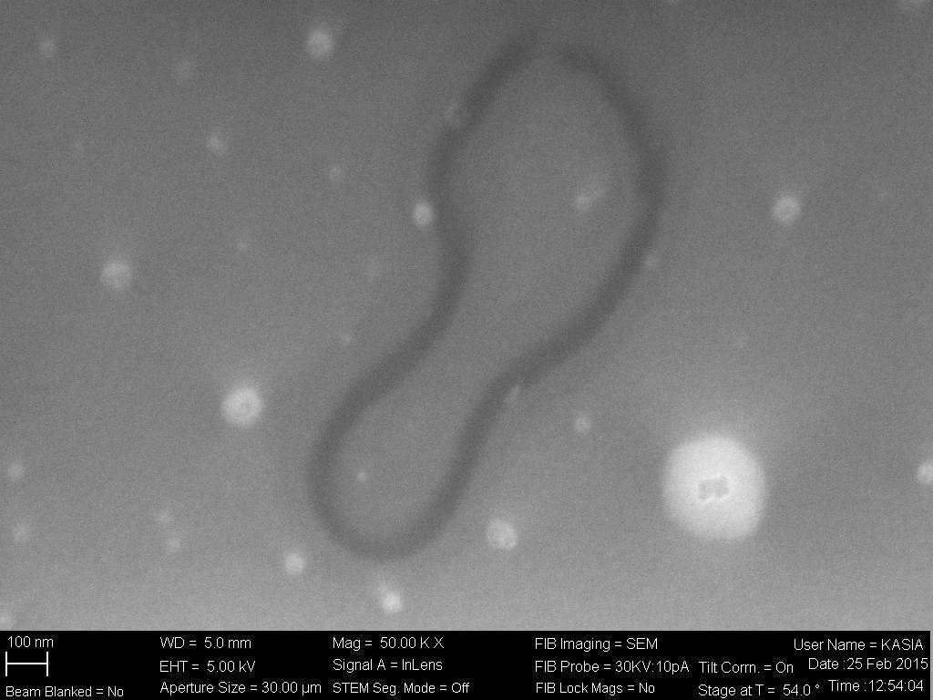 C’moon – courtesy of Alessandro Scali C'moon - courtesy of Alessandro Scali