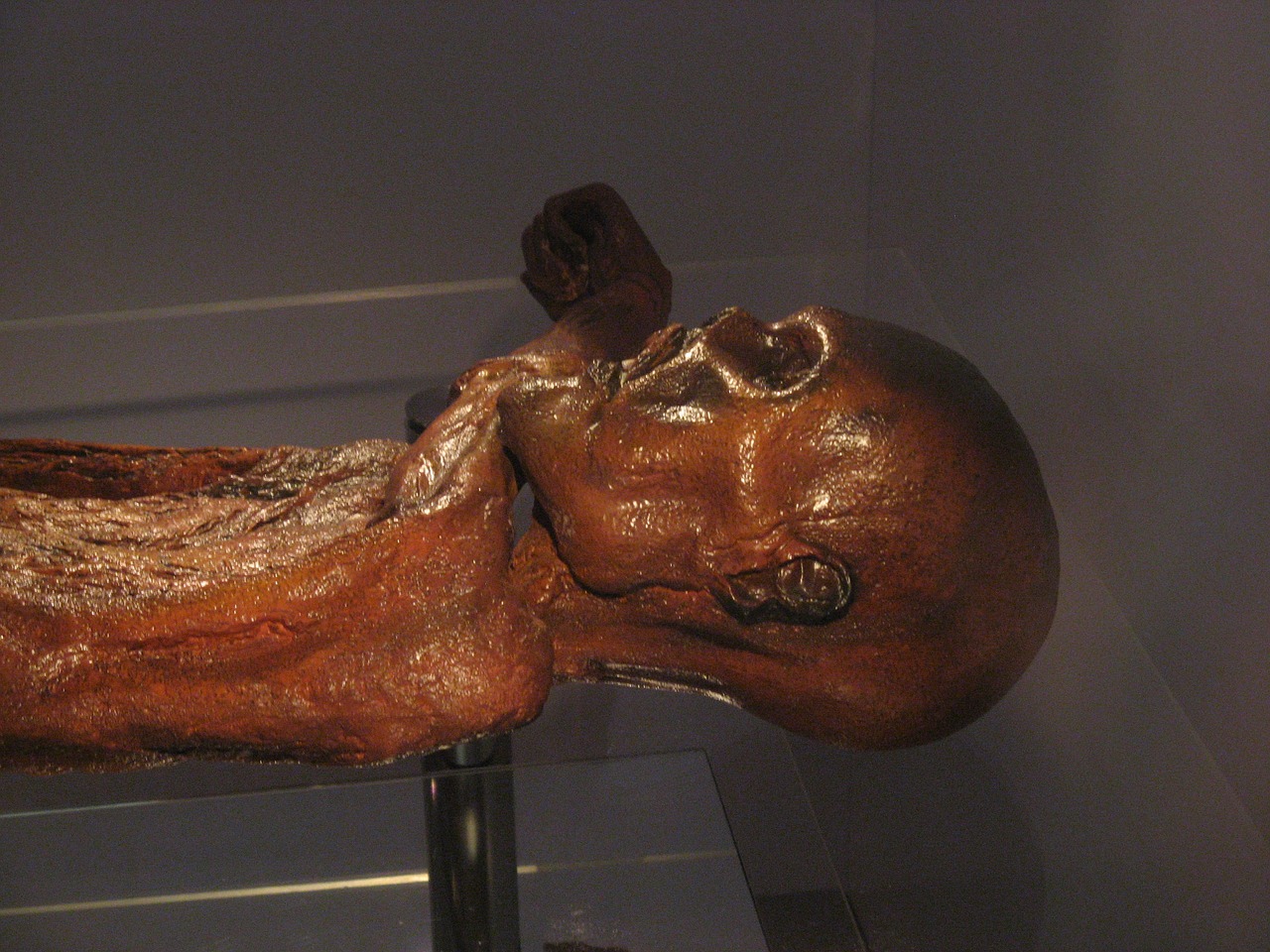 Mummia Otzi - ph. Bastiaan