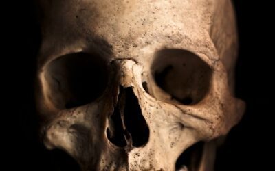 Università italiane studiano il tartaro primitivo