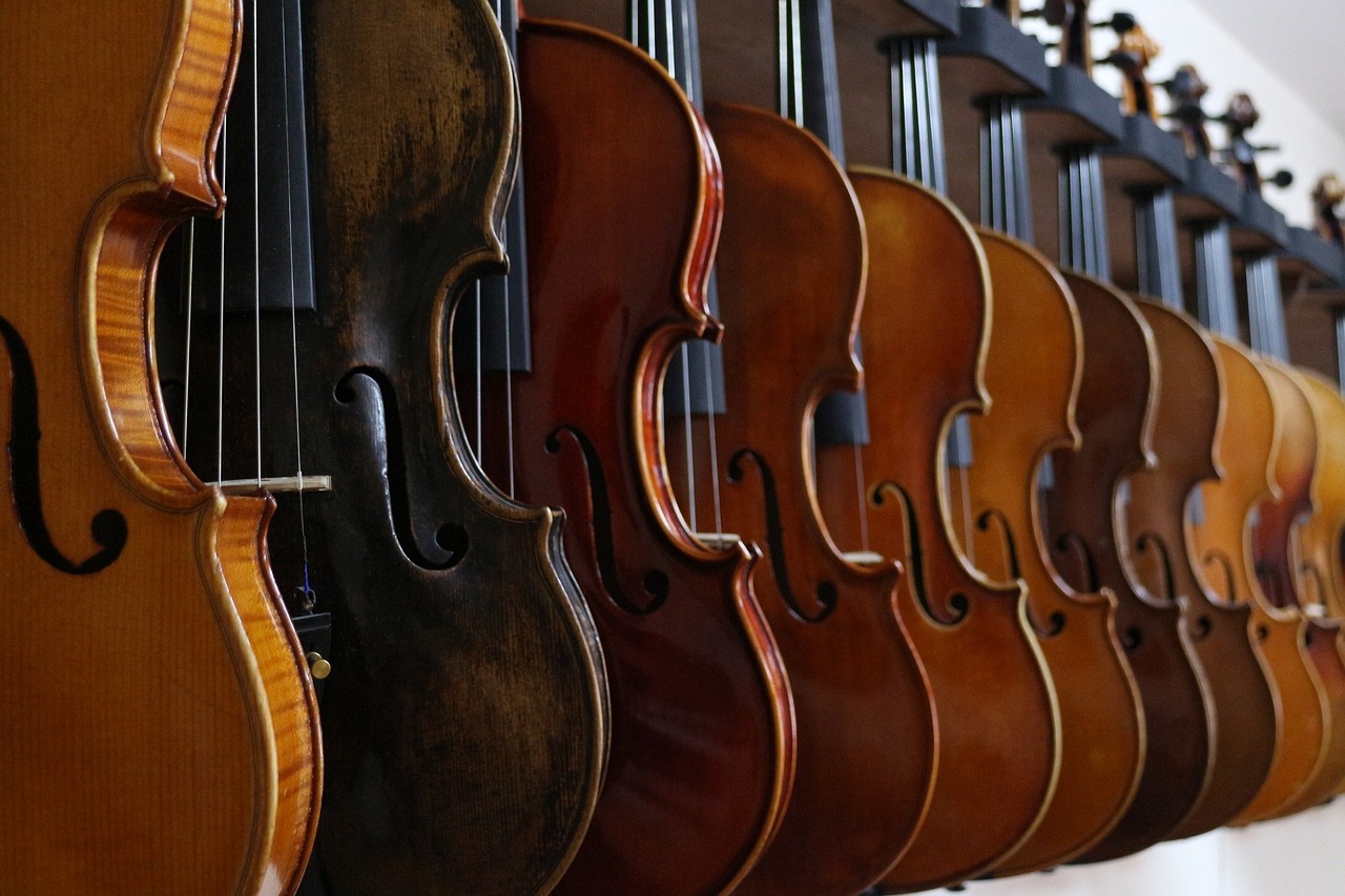 violino – ph. Baohm violino - ph. Baohm