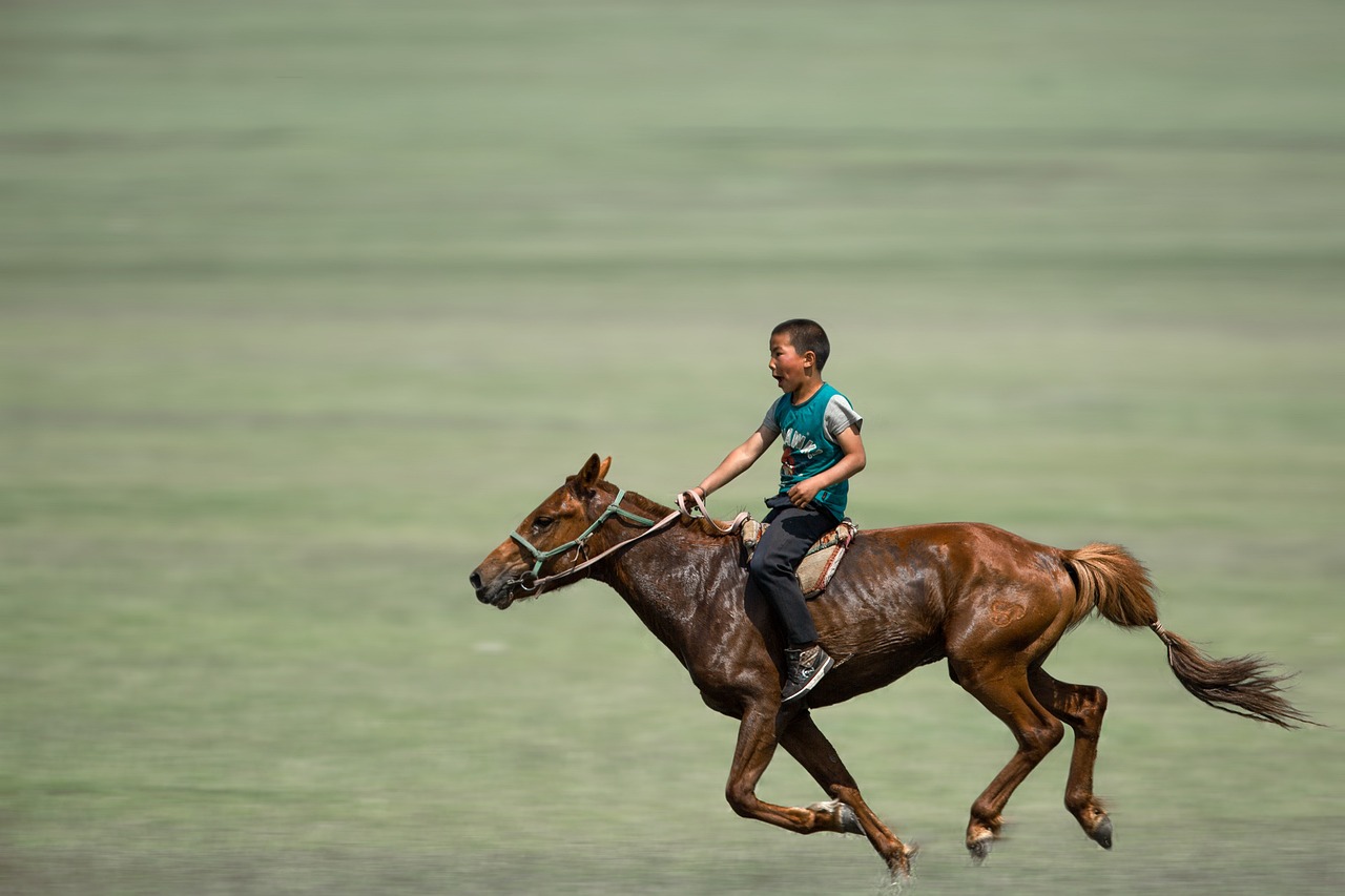 boy-horse-mongolia-Kanenori boy-horse-mongolia-Kanenori