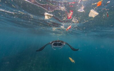 Venezia riduce la plastica insieme al WWF