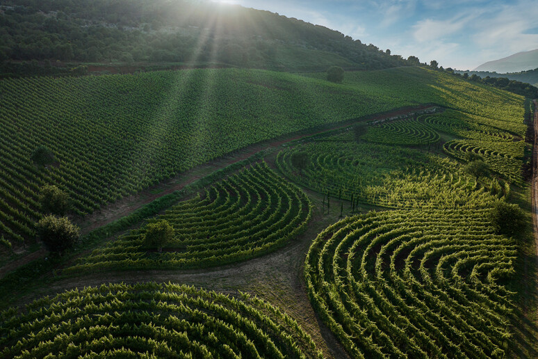 c9bc87c177d9ddb32b193e714e658c91