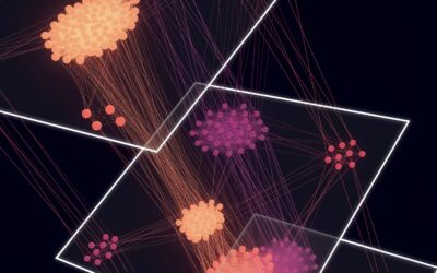 Nuovo studio spiega come sono manipolati i dibattiti sui social