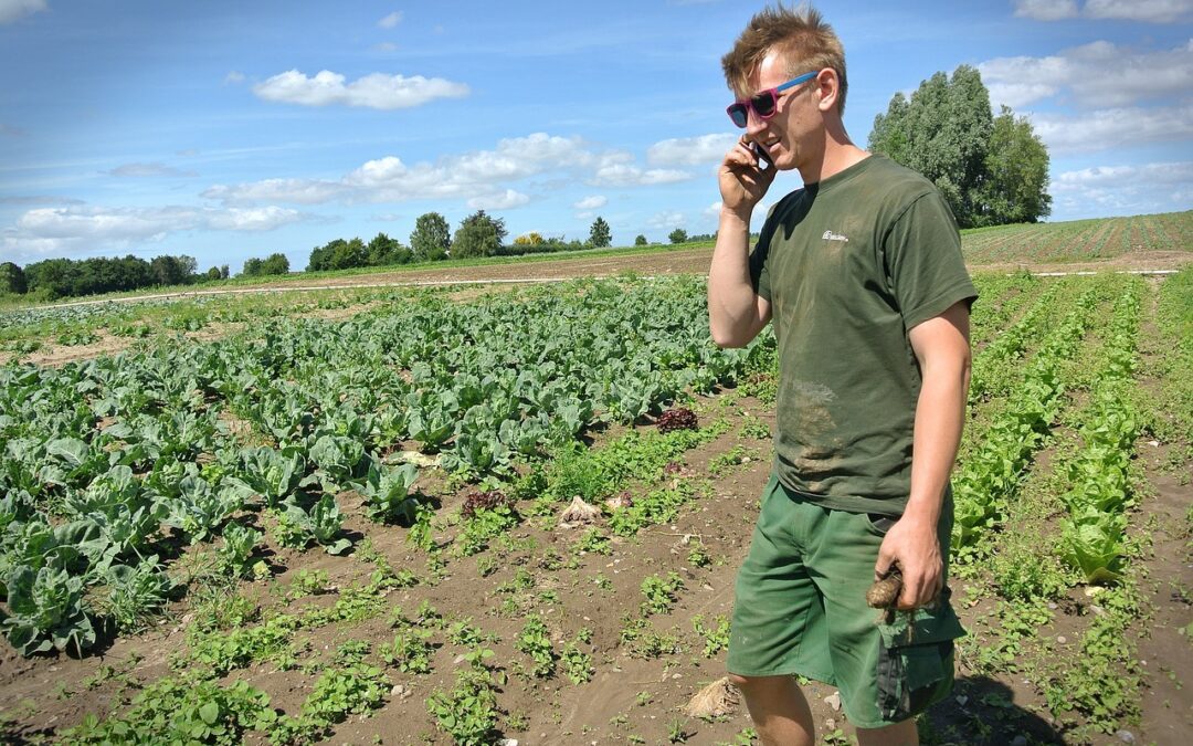 Giovani italiani creativi anche in agricoltura
