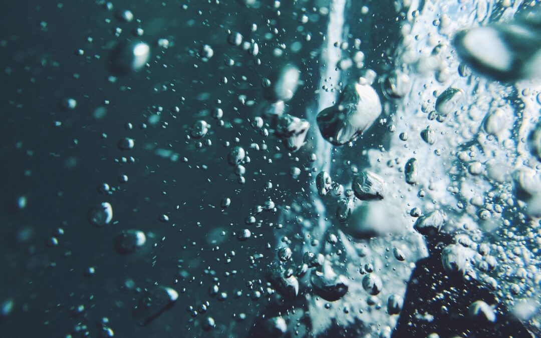 Vini affidati alle acque di mari e laghi, una pratica già nota agli antichi greci