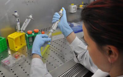 A Pisa si lavora a microrobot che si impiantino nel corpo umano