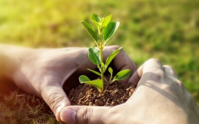 A Siracusa il primo vertice mondiale degli agricoltori