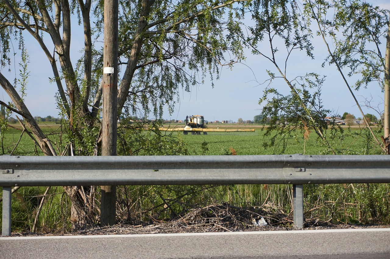 farm- ph Realistico Lavoro nei campi