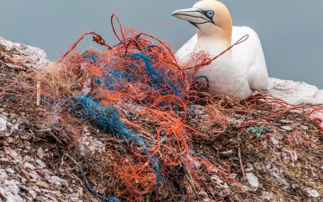 L’Italia insieme alla Cina per studiare le microplastiche