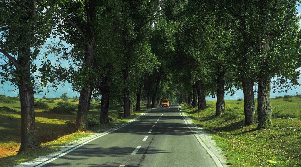 green-street-Bessi