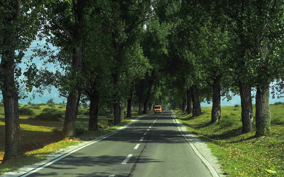Cosa dice dell’Italia la Relazione degli Stati generali Green Economy
