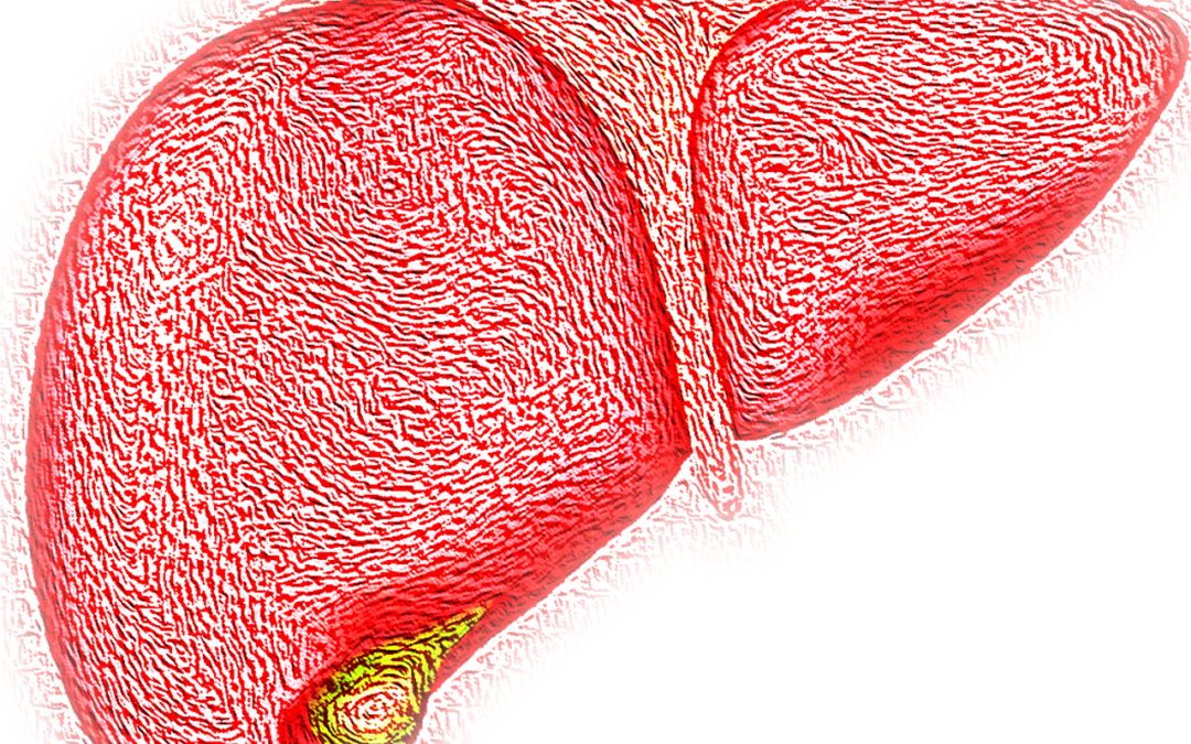 Su Clinical Cancer Research uno studio italiano sul fegato