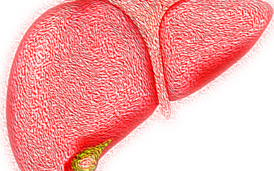 Su Clinical Cancer Research uno studio italiano sul fegato