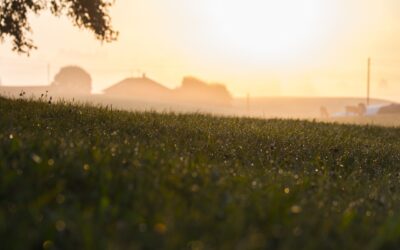 L’agricoltura italiana punta sul digitale